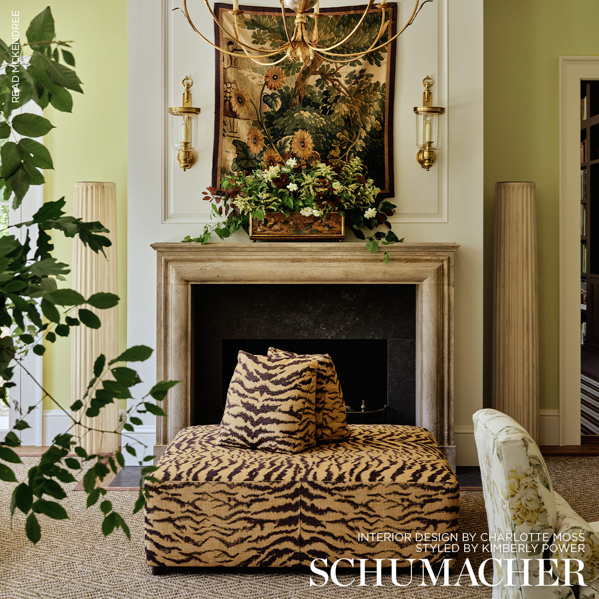 SHIVALIK HILLS TIGER | Gold