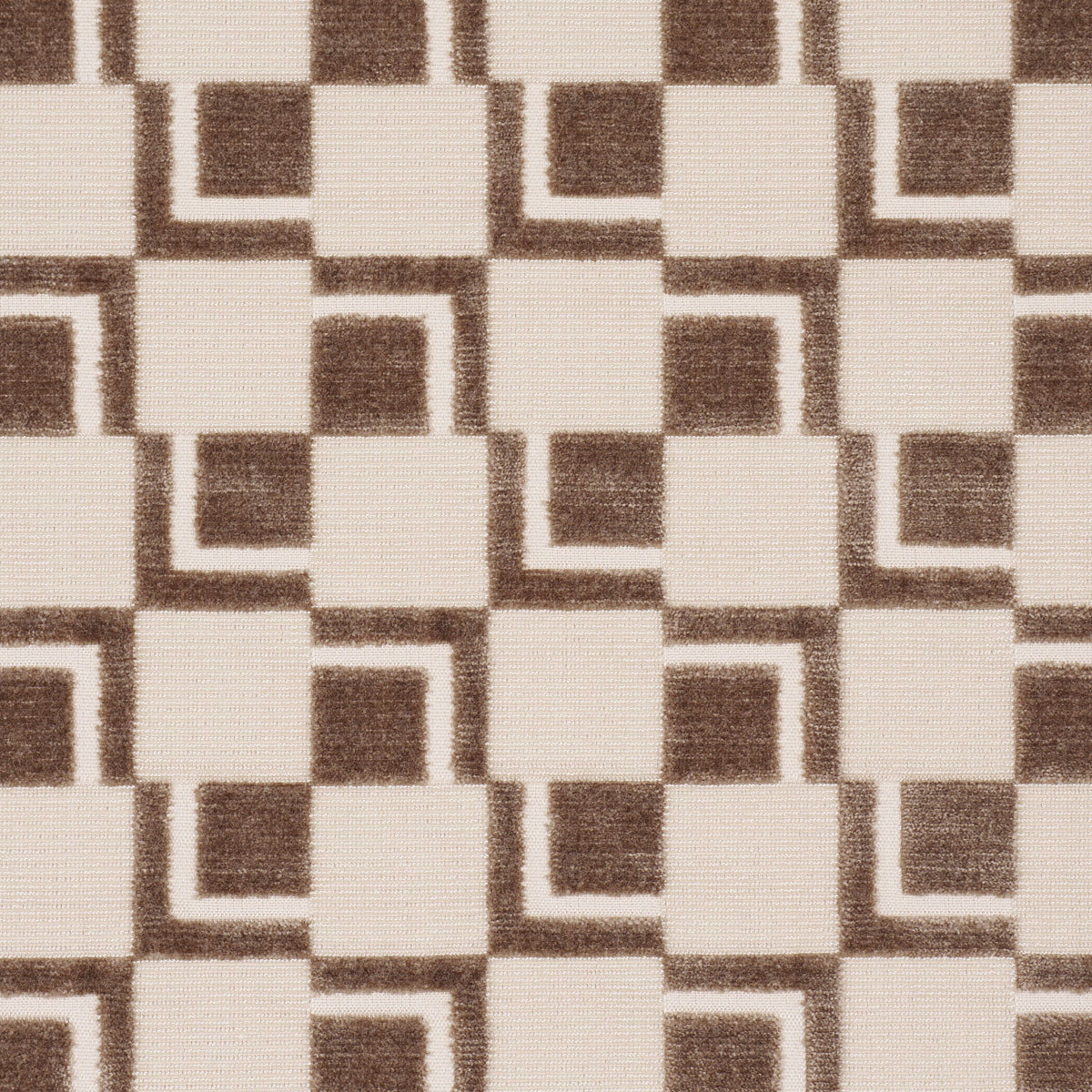 EDISON VELVET | Champagne