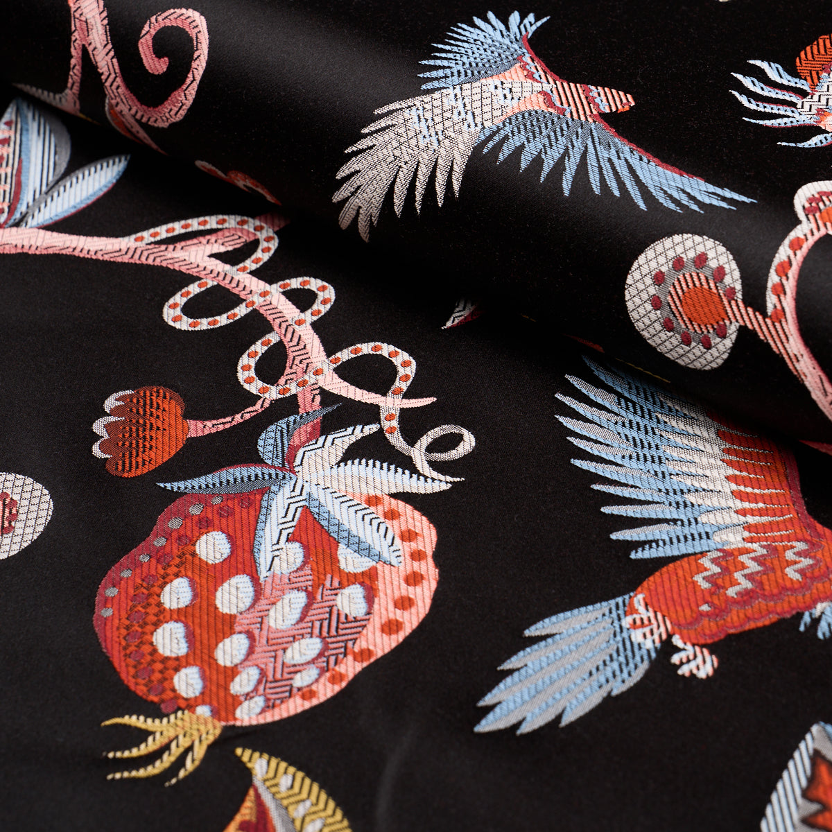 BIRDS OF PARADISE WOVEN | Noir