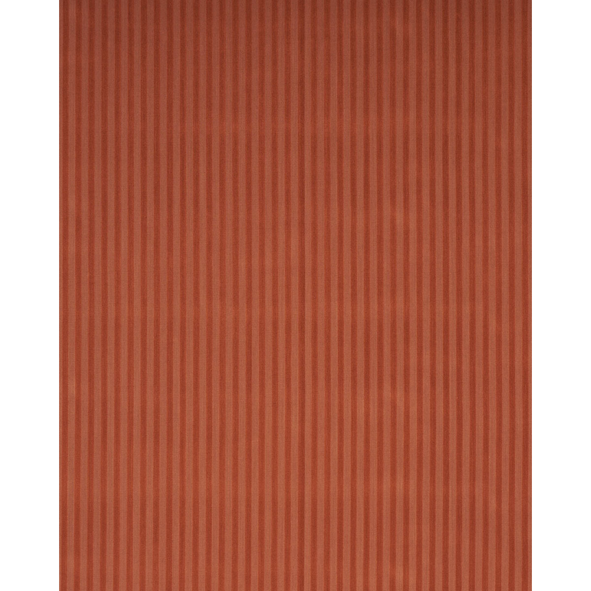 PIPE ILLUSION | Papaya