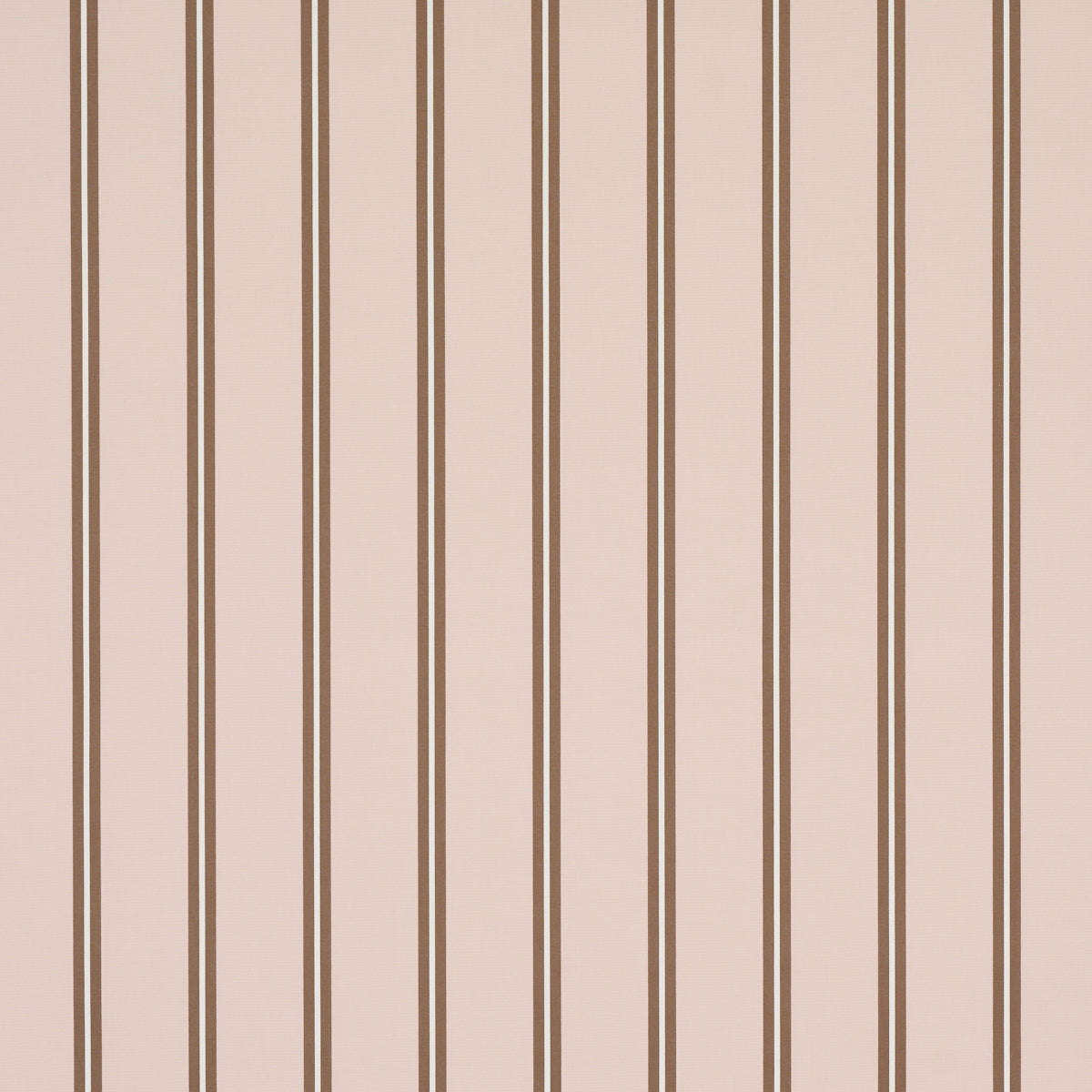 BRIONY STRIPE | Cameo