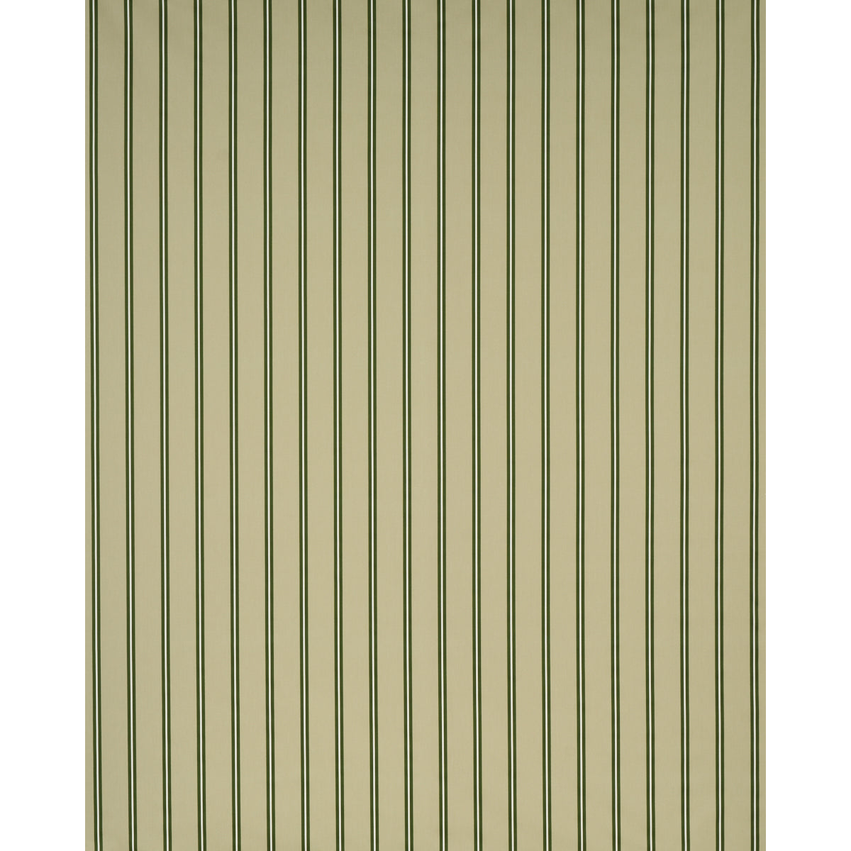 BRIONY STRIPE | Leaf