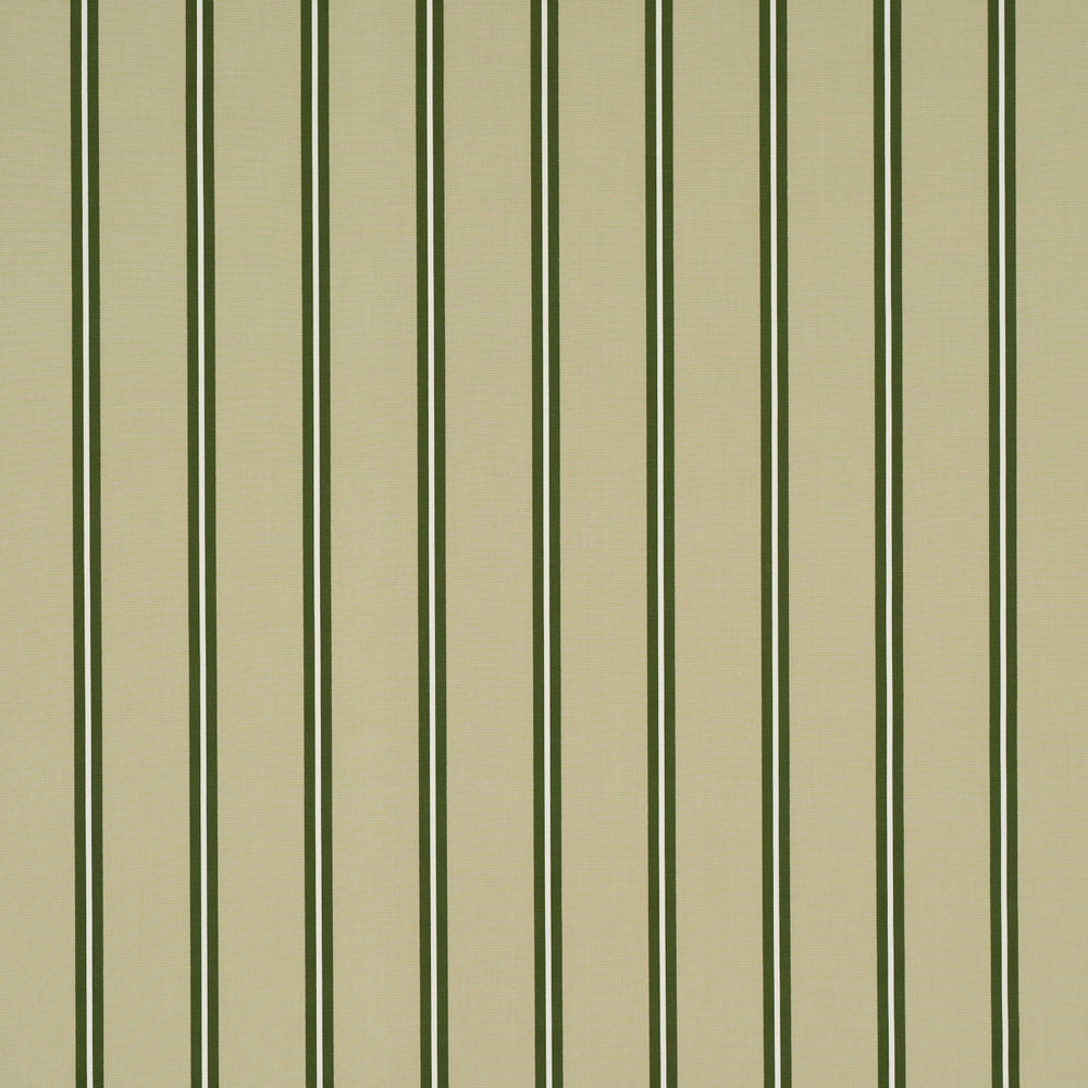 BRIONY STRIPE | Leaf