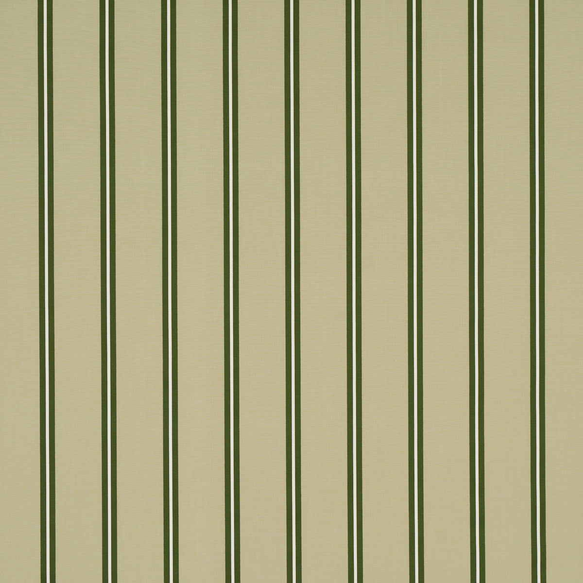 BRIONY STRIPE | Leaf
