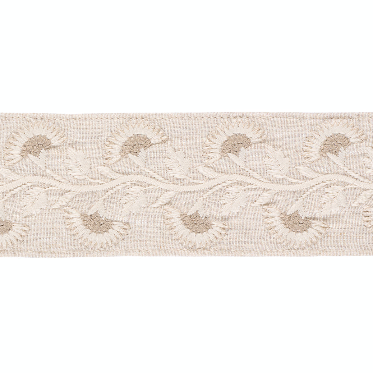 LOTTIE TAPE | Dove