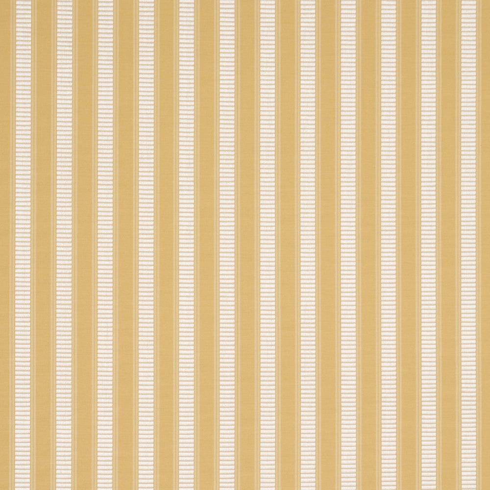 LINCOLN SMALL STRIPE | Yellow