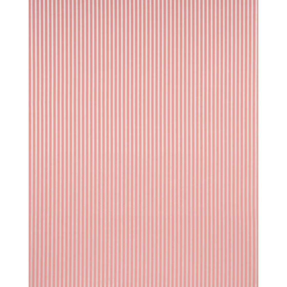 LINCOLN SMALL STRIPE | Pink