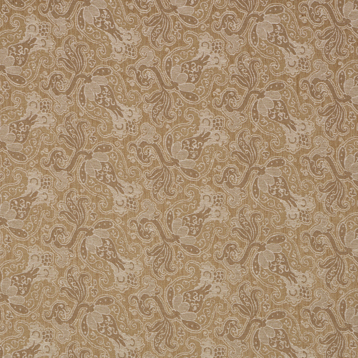 TULIPANO | Caramel