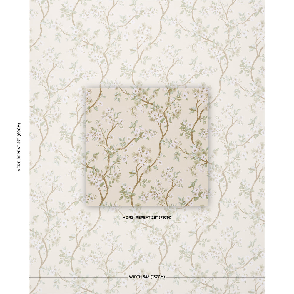 CHERRY BLOSSOM | Citron