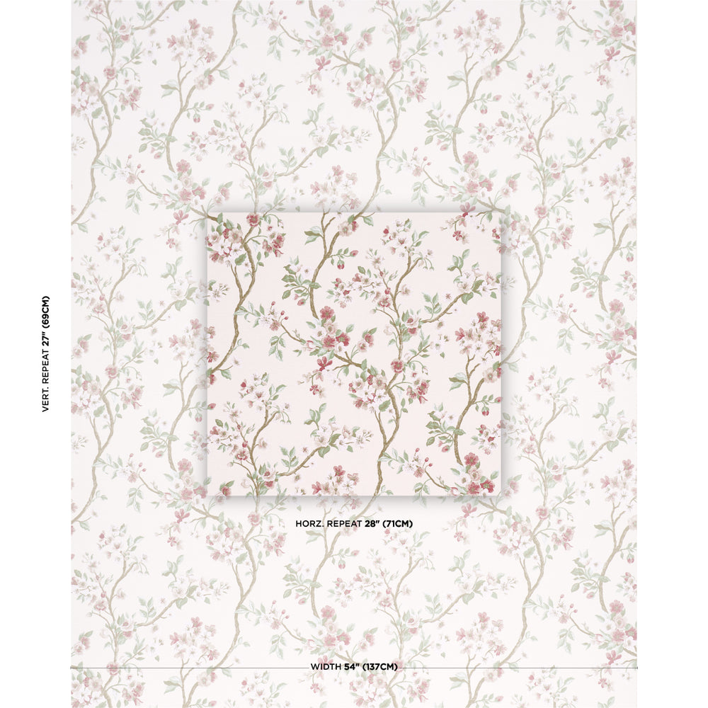 CHERRY BLOSSOM | Cherry