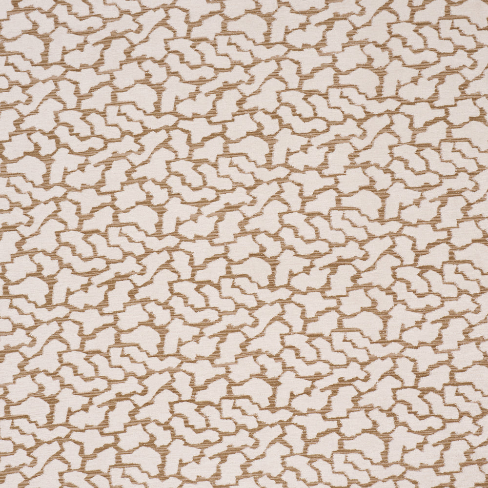 ANIBAL PERFORMANCE | Ivory