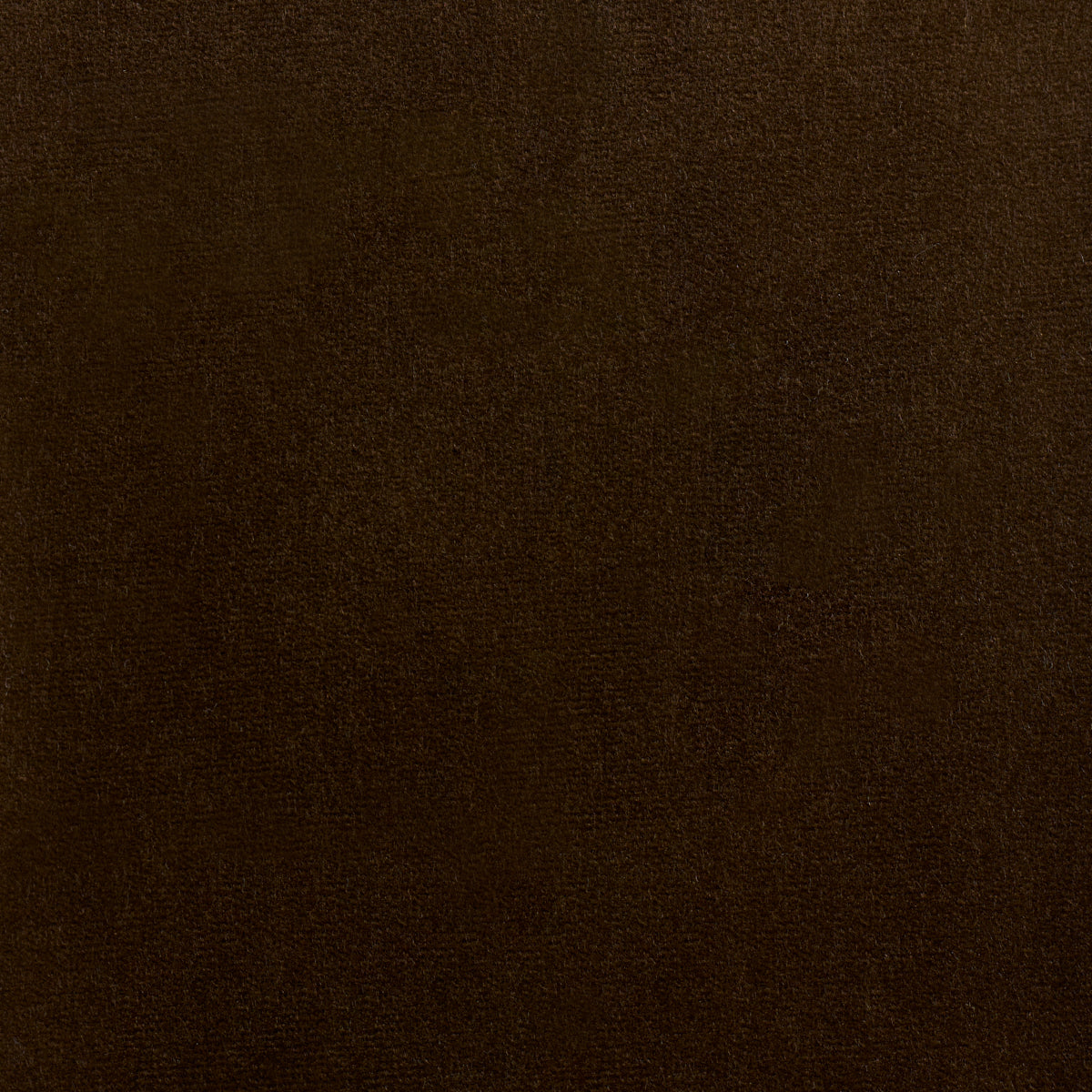 ROCKY PERFORMANCE VELVET | Brun