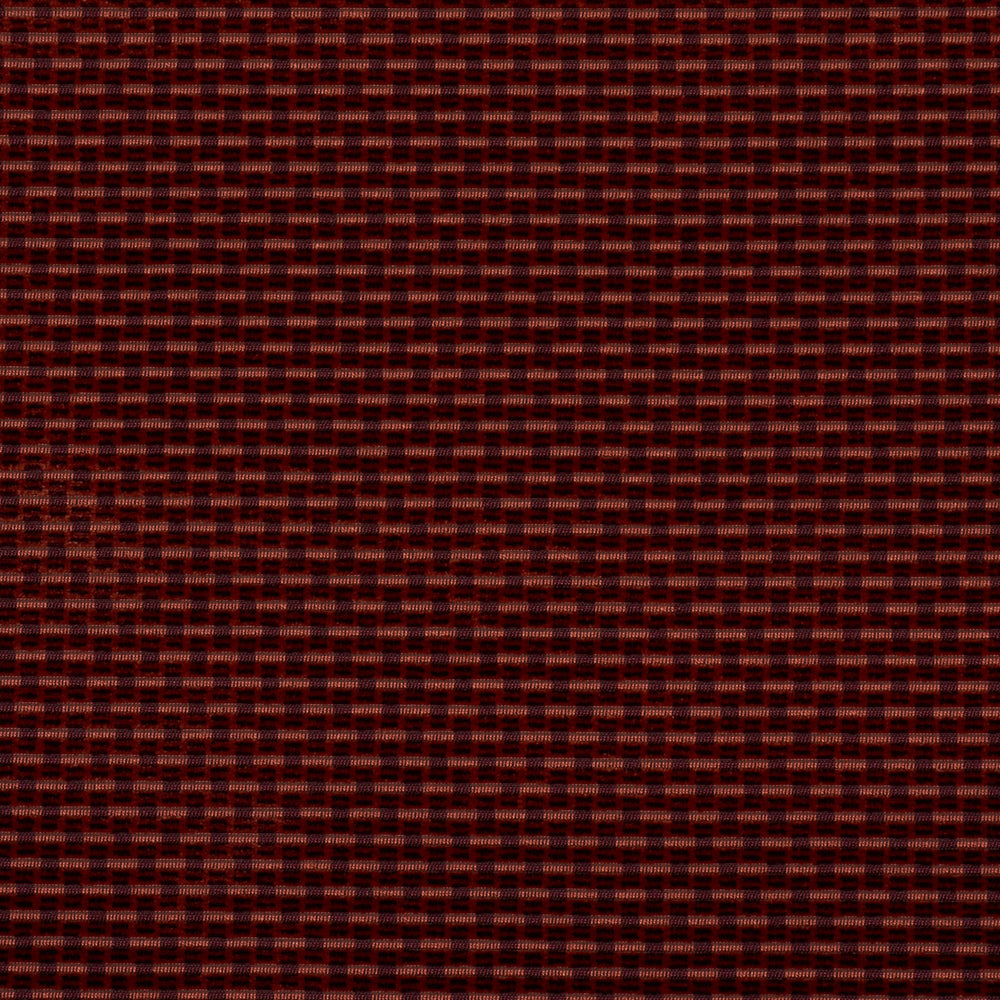 NIKKI PERFORMANCE | Saffron