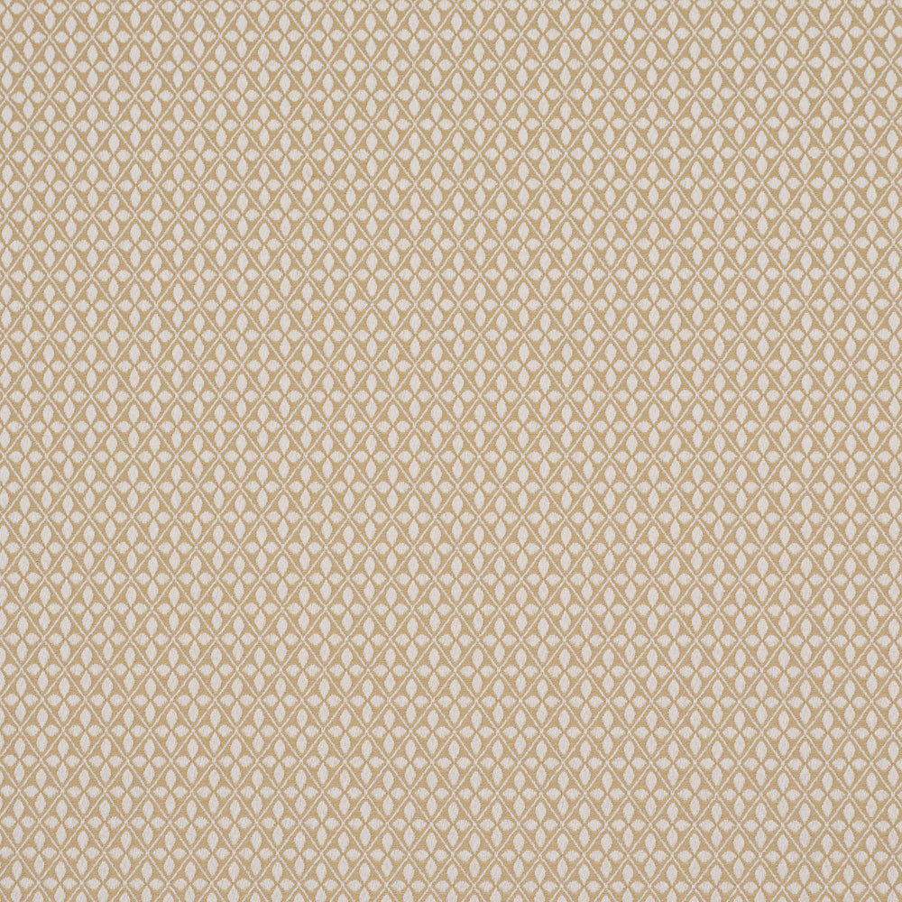 ADAMS DAMASK | Neutral