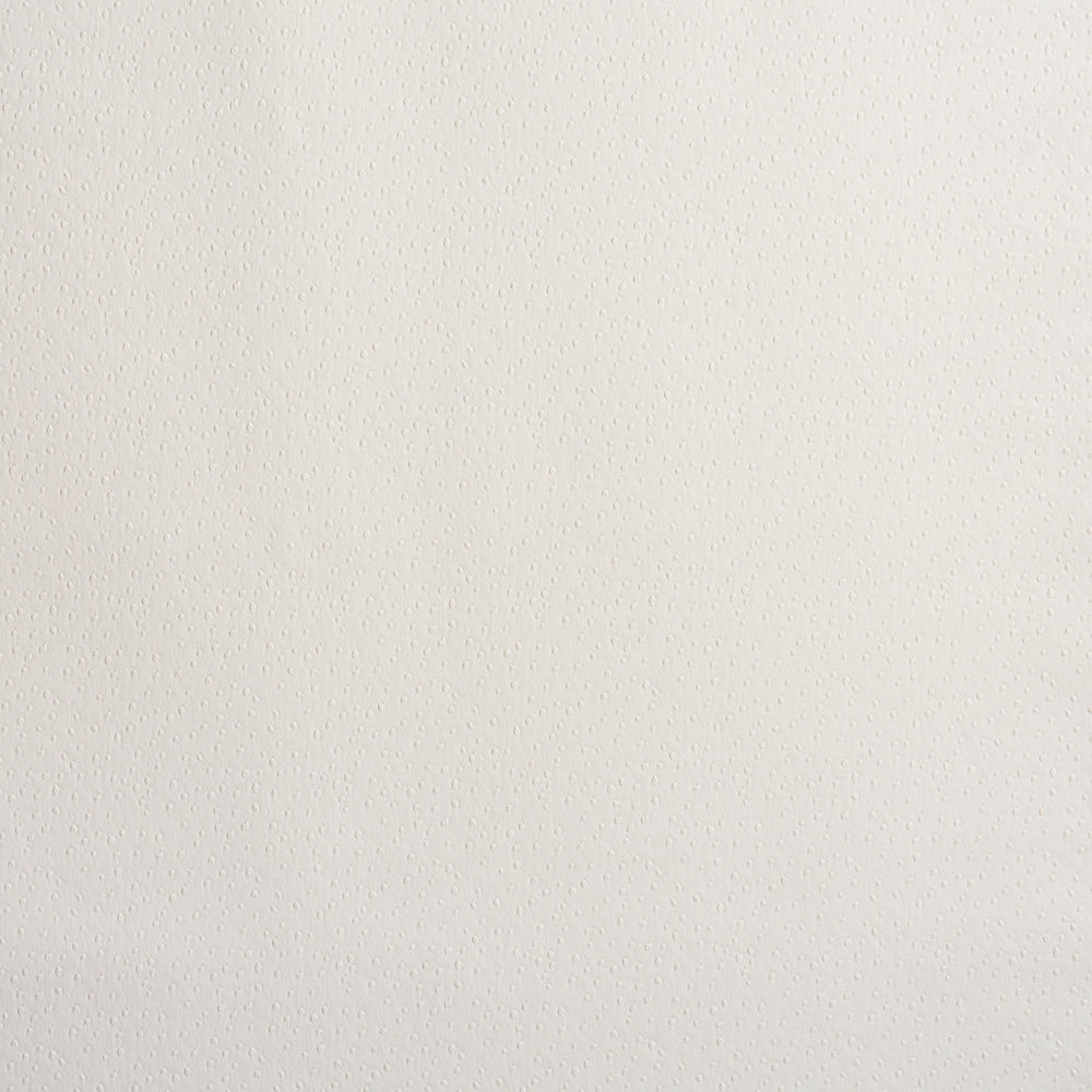 OSTRICH VEGAN LEATHER | Ivory