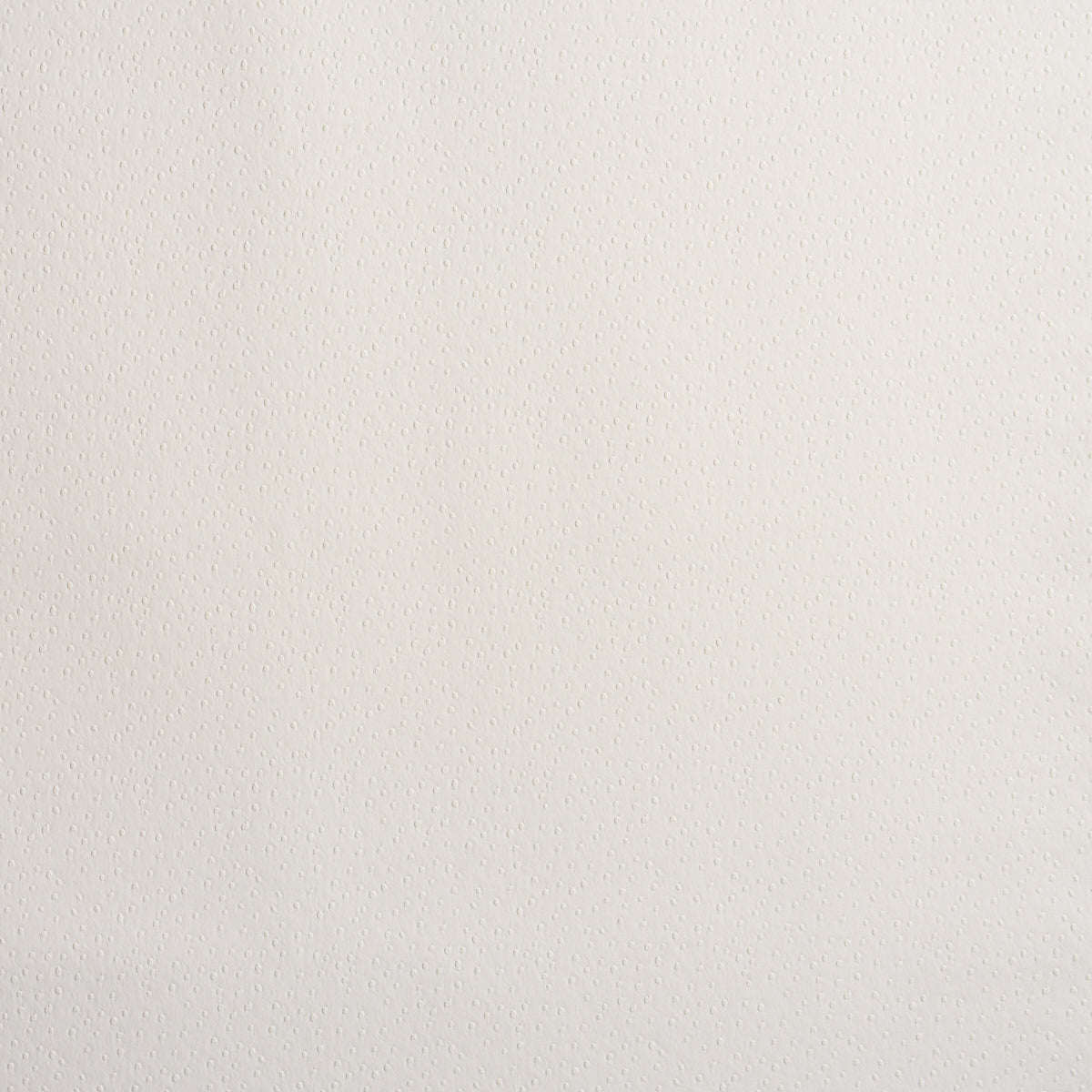 OSTRICH VEGAN LEATHER | Ivory