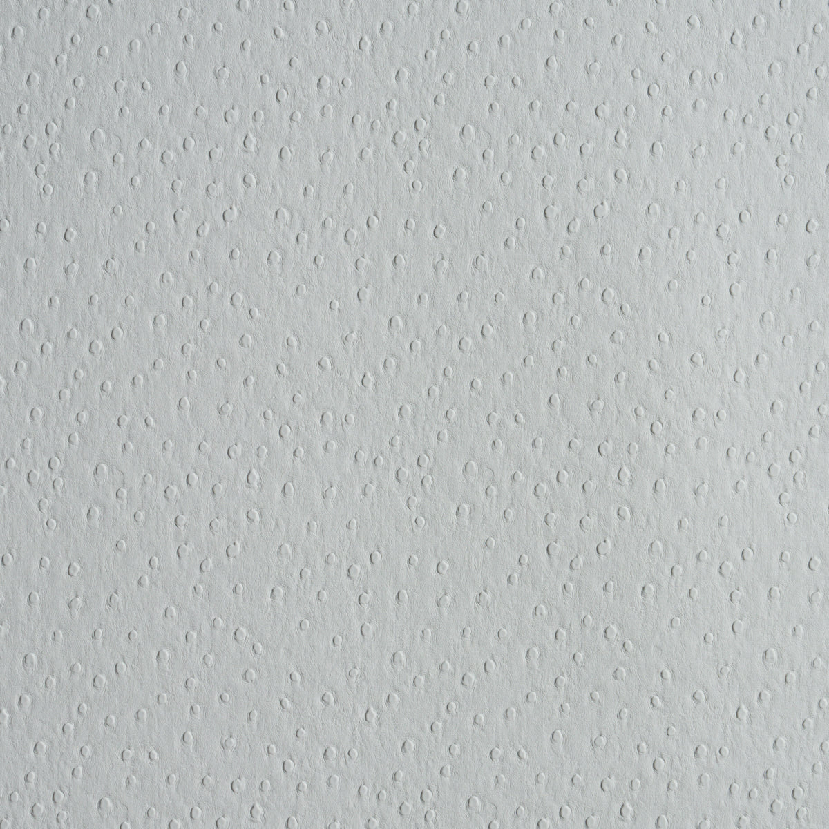 OSTRICH VEGAN LEATHER | Fog