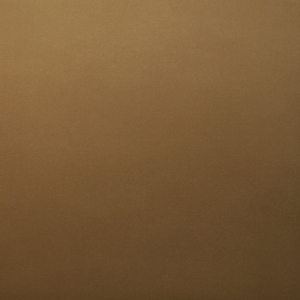 ROCKY PERFORMANCE VELVET | Camel