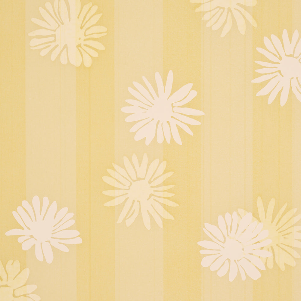 Jackie's Daisy | Buttercup