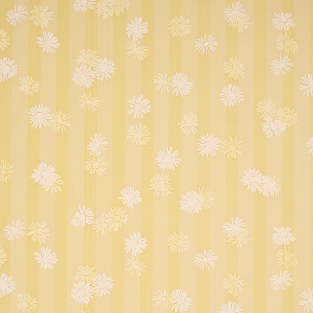 Jackie's Daisy | Buttercup