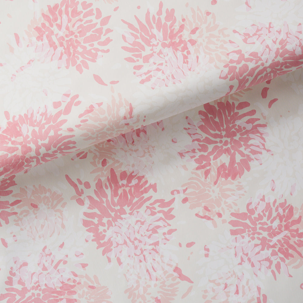 CHRYSANTHEMUM BY TILLETT | Pinky