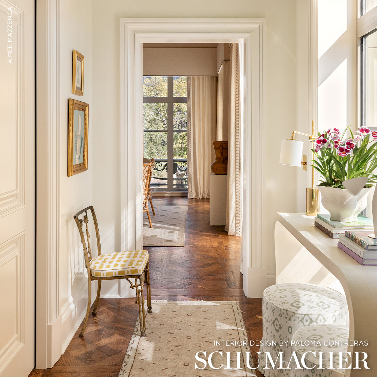 TOWNLINE ROAD | Mimosa