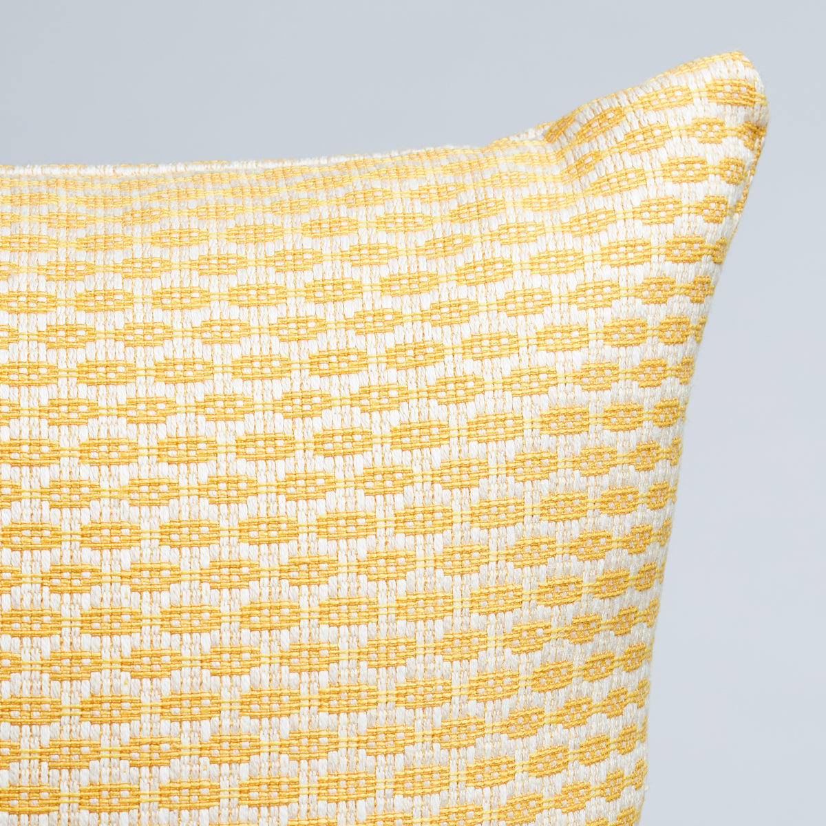 Hickox Indoor/Outdoor Pillow | Yellow